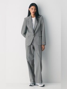 Aritzia Babaton Producer Blazer